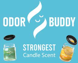 Odor Buddy Candle and Ash Tray