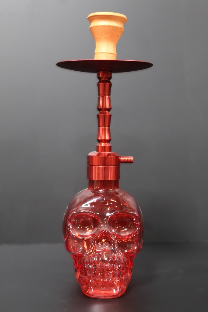 C-Breeze Skull Hookah With Case