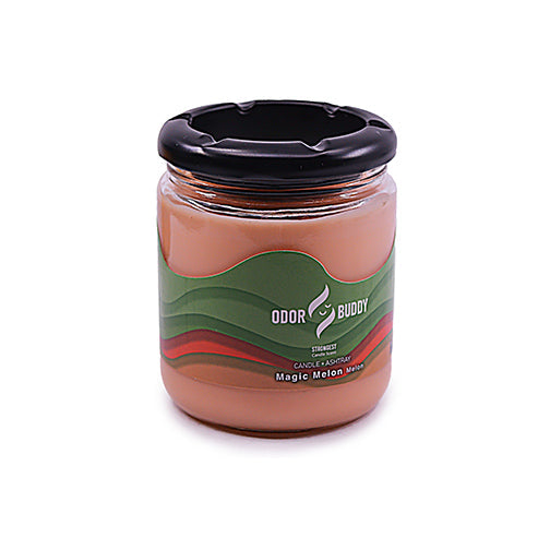 Odor Buddy Candle and Ash Tray