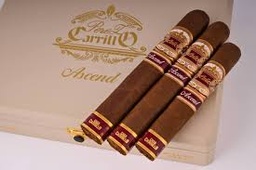 [811167023487] Carrillo Ascend Saddle 52x6