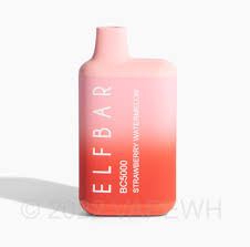 Elf Bar Strawberry Watermelon 5000 Puffs - 10 Pack